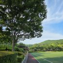 낙동강체육공원 축구장 | [15분도시 부산] 철마체육공원축구장 방문 후기