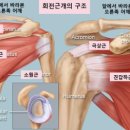 스트레칭303 이미지