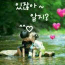 방가방가 이미지