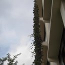 연서초등학교 이미지