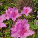 (주)누림 이미지