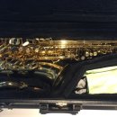 알토색소폰(야) 이미지