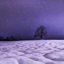 우리들의 꿈들 이미지