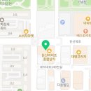 신호꽃집정경숙유진화립정경숙대전꽃도매시장1층