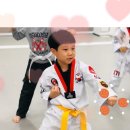 고려인성태권도 이미지