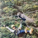 하동코리아짚와이어 이미지