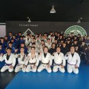 팀타이런트 유도 이미지