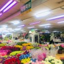 대림화원 이미지