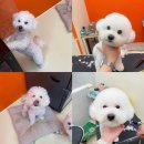 그룸 앤 먼치 네이버블로그
