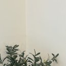 나무늘보,요정 이미지