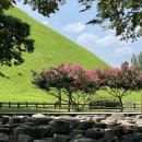 햇빛 찬란한 그 길 | 경주 1박 2일 혼자 뚜벅이 여행 코스 추천! 황리단길 가볼만한곳 맛집 카페