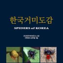 짝커피호프 루리웹 뉴스보드
