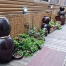 원플러스25 서면제일점 이미지