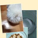 신길S동물의료센터 이미지