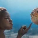 인어공주 이미지