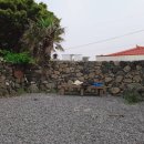 제주도게스트하우스협재정류장 이미지