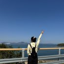 여수 챌린지파크 루지 후기🛷