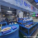 [ 삼척 중앙시장 회포장 / 삼척 쏠비치 근처 횟집 ] 바다회활어 방문후기 : 방혈회 / 방어맛집