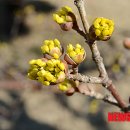 개화영농조합법인 이미지