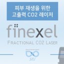 에스엔제이(SNJ)