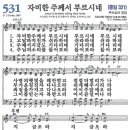 비가나컴퍼니