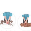 동물병원 WITH-PET 이미지