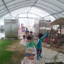 부여선교유치원 이미지