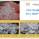부경얼음