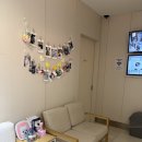 24시루시드동물메디컬센터 | 고양이 포피요도문합술 후기, 24시 루시드동물메디컬센터 동대문점