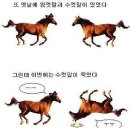 혼돈 이미지