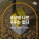 피그리프 스튜디오