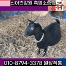 성주건강원