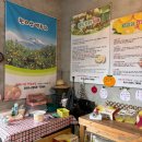 양지은농장 | 제주귤체험 제주사랑체험농장에서 레드키위까지 서귀포 여행코스로 딱