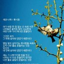 새와나무