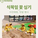 삼천동 이안키즈 어린이집 식목일 텃밭 행사 이야기
