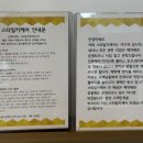 스타일카케어 이미지