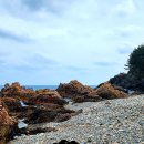 김서방 대게민박 이미지