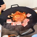 소심공주동물약국 | 경주 애견동반 반려견동반 오플리 그로브 독채 펜션 아이와 함께 방문한 자세한 후기