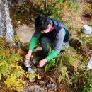 점필재로 이미지