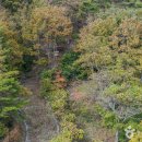 시호도선착장 이미지