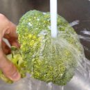 브로콜리 흐르는 물에 씻지 마세요! 99%가 실수하는 브로콜리 씻는 방법입니다 이미지