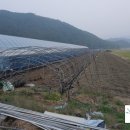 오가네농장 네이버블로그