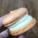 진주마카롱맛집 다인스그랜파 초콜릿, 마카롱
