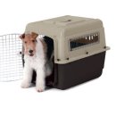 강아지집 이미지