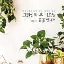 그린썸 - 서초구 주흥3길 8 | 그린썸