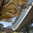 어린이도서관 | 📚 국립세종도서관 어린이도서관 후기 🐣