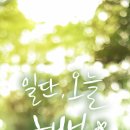 보리마켓