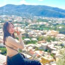 남부 제1화장실 | 이탈리아 로마 남부여행 소렌토 포지타노 레몬 당일치기 투어 후기