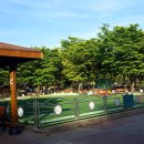 용하운동장 이미지