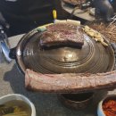 몽탄 티스토리